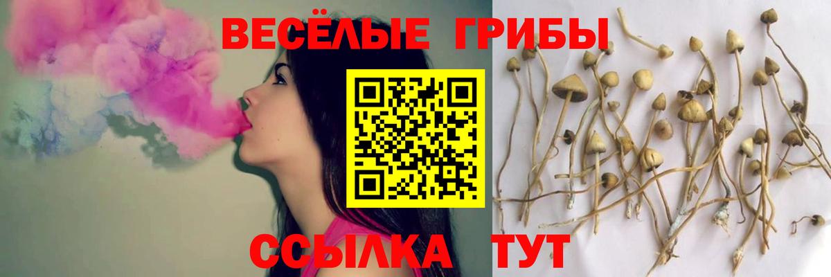 Боровичи  Галлюциногенные грибы Cubensis  Псилоцибиновые грибы Psilocybine cubensis  Вход с VPN 